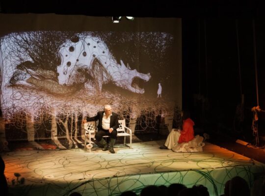 L'ASINO di Jon Jasper Halle, foto di scena