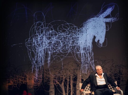 L'ASINO di Jon Jasper Halle, foto di scena