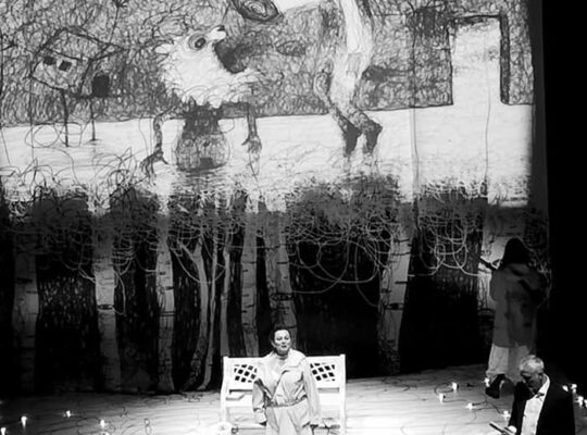 L'ASINO di Jon Jasper Halle, foto di scena