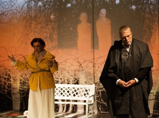 L'ASINO di Jon Jasper Halle, foto di scena
